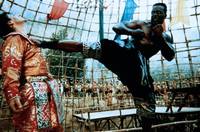 Кадр Король кикбоксеров