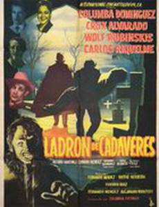 Похитители тел