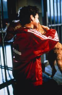 Кадр Король футбола