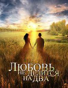 Любовь не делится на два (мини-сериал)