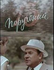 13 поручений