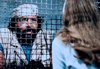 Кадр Банановый Джо