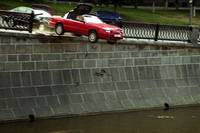 Кадр Любовь-морковь