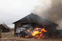 Кадр Белый тигр