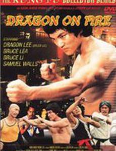 Дракон герой