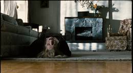 Кадр из фильма "Шкатулка проклятия" - 2