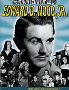 Crossroads of Laredo