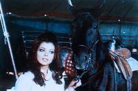 Кадр Черный красавчик