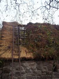 Кадр Tales from the Green Valley