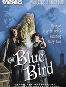 Синяя птица