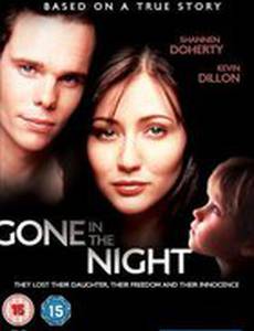 Пропавшая в ночи