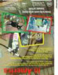 Pelle Svanslös i Amerikatt