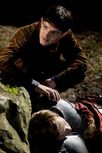 Кадр Мерлин