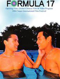 Формула 17