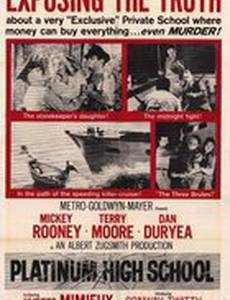 Platinum High School