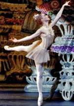 Паскаль Ван Кипнис фото