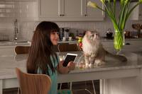 Кадр Девять жизней