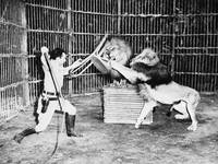 Кадр Африка зовёт