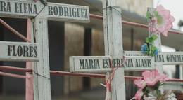 Кадр из фильма "Kingdom of Shadows" - 1