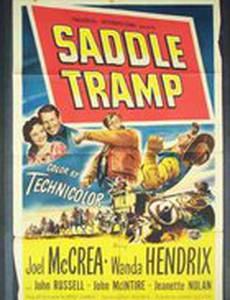 Бродяга в седле