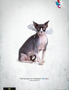 СОС любовь! Контракт на миллион долларов