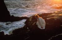 Кадр Вес воды