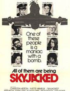 Угонщик самолётов