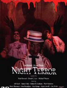 Ночной террор