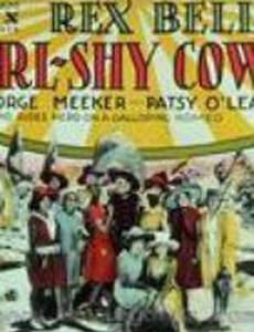Girl-Shy Cowboy