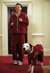 Кадр Пес и нищий