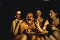 Кадр Черная кошка, белый кот