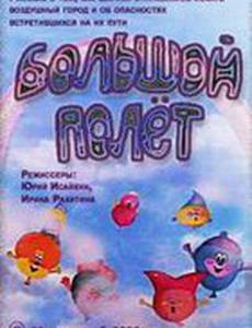 Большой полет