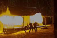 Кадр Убойные каникулы