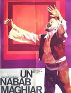 Венгерский набоб