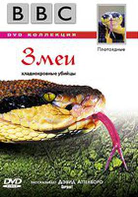 BBC: Змеи