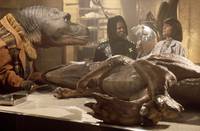 Кадр Теодор Рекс (видео)