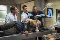 Кадр Ганнибал