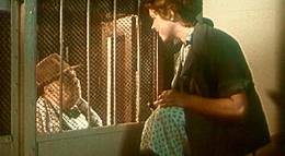 Кадр из фильма "Девушка без адреса" - 1