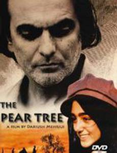 Грушевое дерево