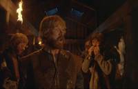 Кадр И на камнях растут деревья