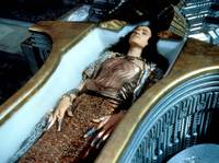 Кадр Звездные врата