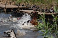 Кадр Барбаросса