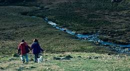 Кадр из фильма "Любовники на колесах" - 2