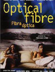 Fibra óptica
