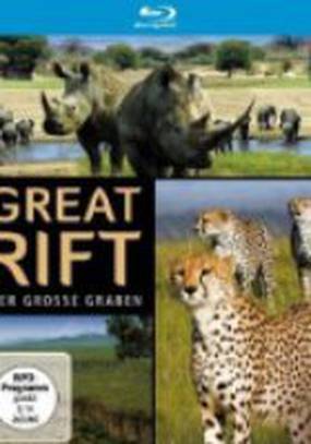 Большой африканский разлом