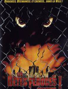 Дикие звери