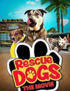 Rescue Dogs