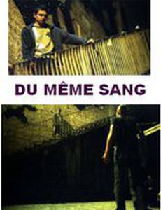 Одной крови