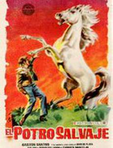 El potro salvaje