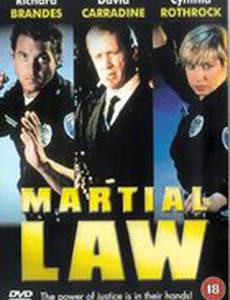 Комендантский час (видео)